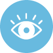 icon_vision